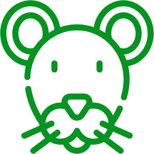 mouse